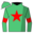 Runner silk
