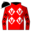 Runner silk